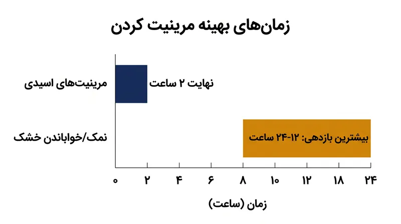 زمان‌های بهینه برای خواباندن گوشت، بسته به مواد فعال موجود در مرینیت، به شدت متفاوت است.