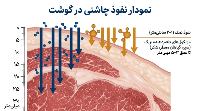 در حالی که نمک برای حفظ رطوبت عمیقاً در گوشت نفوذ می‌کند، مولکول‌های پیچیده طعم‌دهنده آن‌قدر بزرگ هستند که نمی‌توانند بیشتر از چند میلی‌متر پیش بروند.