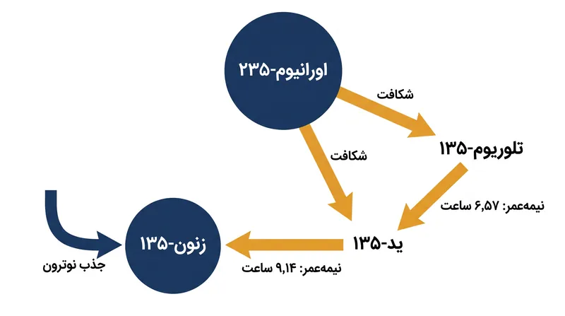 زنجیره واپاشی که زنون-۱۳۵ جاذب نوترون را در داخل قلب راکتور تولید می‌کند.