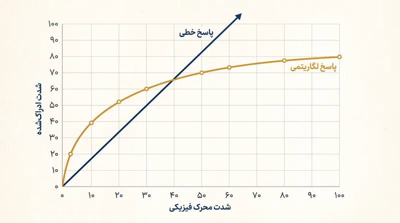 منحنی پاسخ لگاریتمی به مغز اجازه می‌دهد تا طیف وسیعی از شدت‌های فیزیکی را بدون اضافه‌بار ظرفیت عصبی پردازش کند.