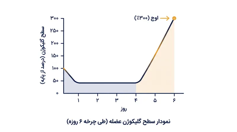 چرخه کلاسیک تخلیه و بارگیری، سطح گلیکوژن را به مراتب بالاتر از خط پایه طبیعی آن می‌برد.