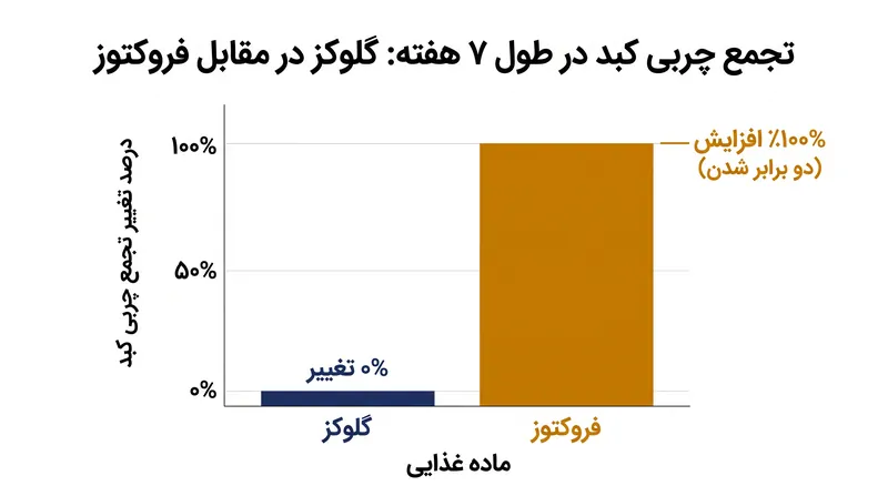 در یک کارآزمایی بالینی در سال ۲۰۲۱، چربی کبد شرکت‌کنندگانی که روزانه ۸۰ گرم فروکتوز مایع مصرف می‌کردند دو برابر شد، در حالی که گروه مصرف‌کننده گلوکز هیچ تغییری نداشتند.