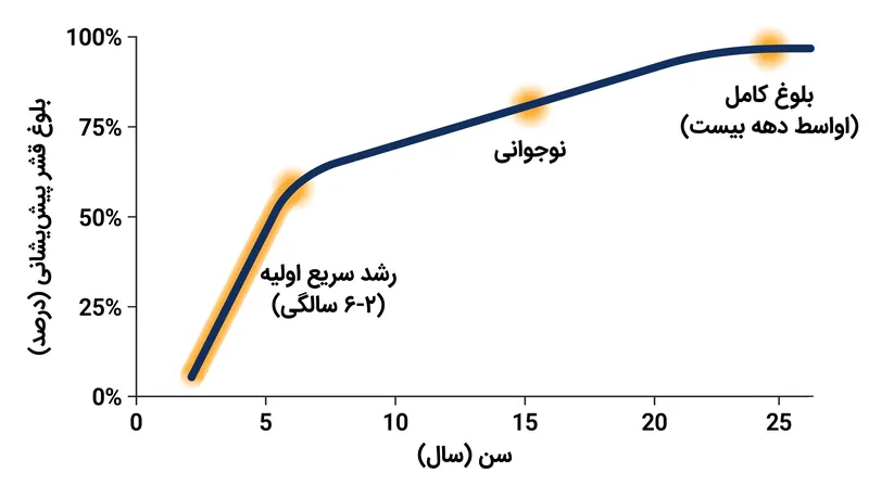 قشر پیش‌پیشانی مهم‌ترین دوره رشد خود را بین سنین دو تا شش سالگی طی می‌کند.