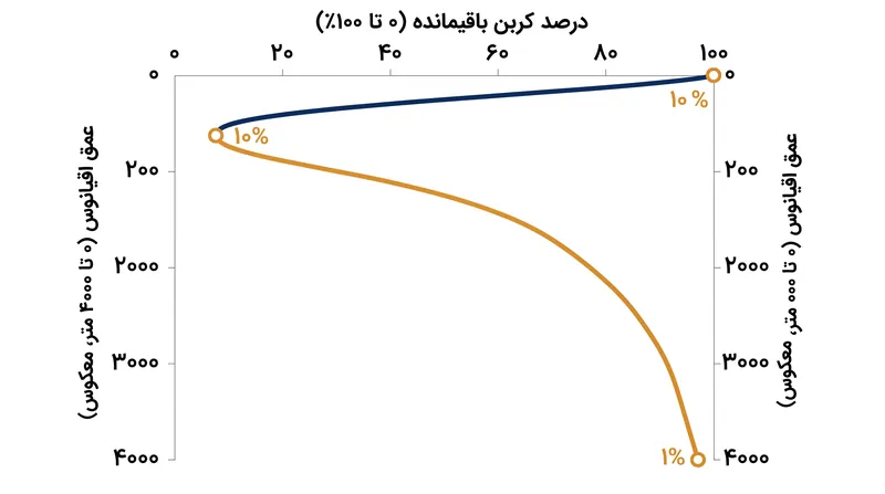 تنها حدود ۱ درصد از کربن تثبیت‌شده در سطح، از مصرف باکتریایی جان سالم به در برده و به بستر عمیق دریا می‌رسد.
