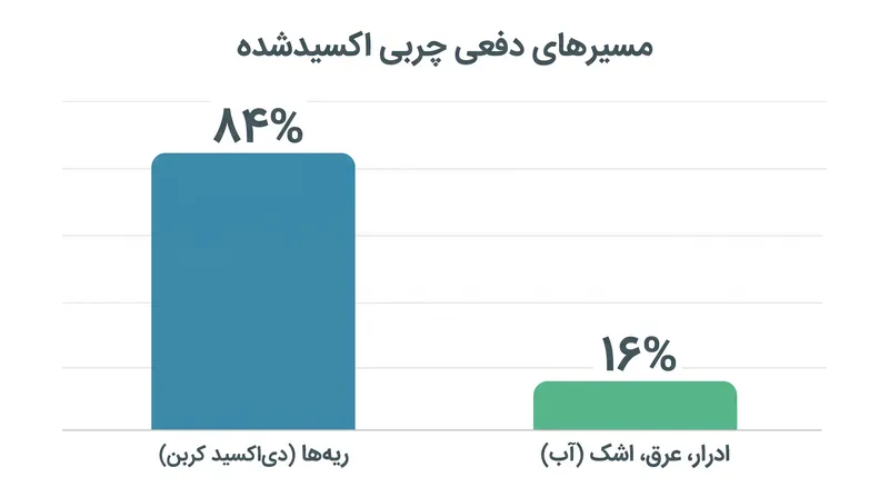 جرم فیزیکی چربی پس از سوختن برای تولید انرژی به کجا می‌رود.