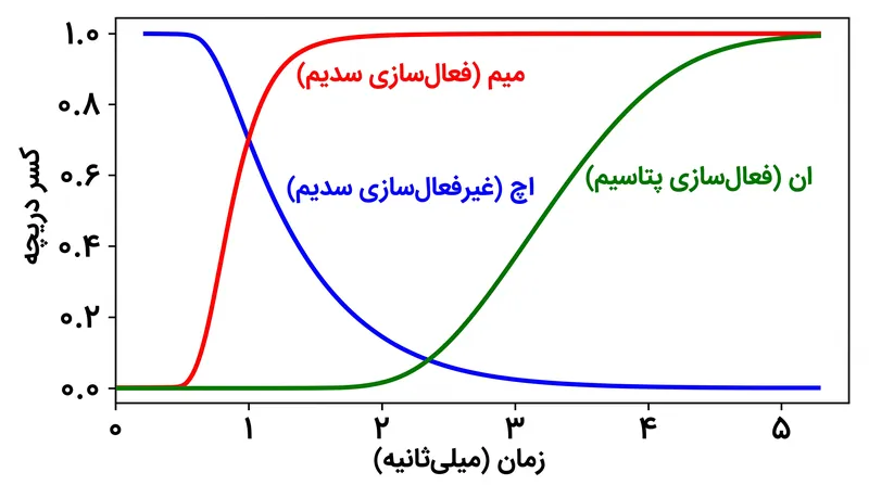این مدل از سه متغیر بدون بعد — m، h و n — برای محاسبه احتمال باز بودن کانال‌های یونی استفاده می‌کند.