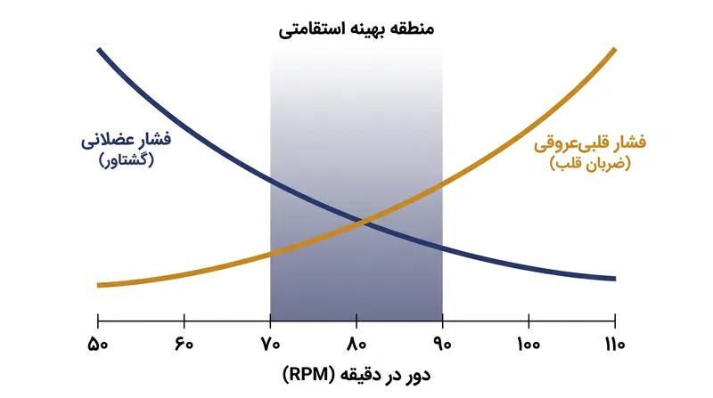 محدوده ۷۰ تا ۹۰ دور در دقیقه نشان‌دهنده نقطه تقاطع فیزیولوژیکی است که در آن نه عضلات و نه قلب تحت فشار نامتناسب قرار نمی‌گیرند.