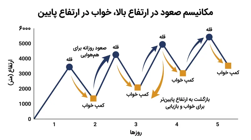 استراتژی «صعود در ارتفاع بالا، خواب در ارتفاع پایین» به کوهپیمایان اجازه می‌دهد تا در طول روز فرآیند هم‌هوایی را تحریک کنند و شب‌ها در ارتفاع پایین‌تری با خیال راحت استراحت کنند.