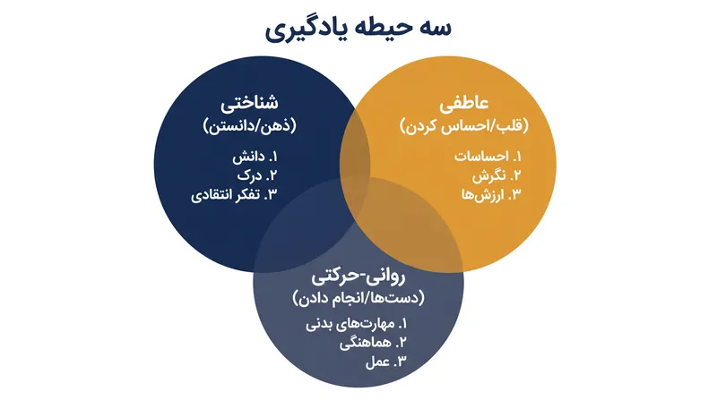 سه‌گانه آموزشی کامل که توسط کمیته انجمن روان‌شناسی آمریکا در سال ۱۹۵۶ ترسیم شد.