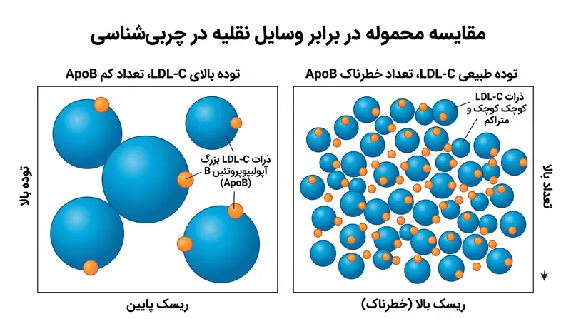 بیماران مبتلا به سندرم متابولیک اغلب ذرات کوچکتر و متراکم‌تری تولید می‌کنند که منجر به وزن طبیعی کلسترول اما تعداد بالای ذرات می‌شود.