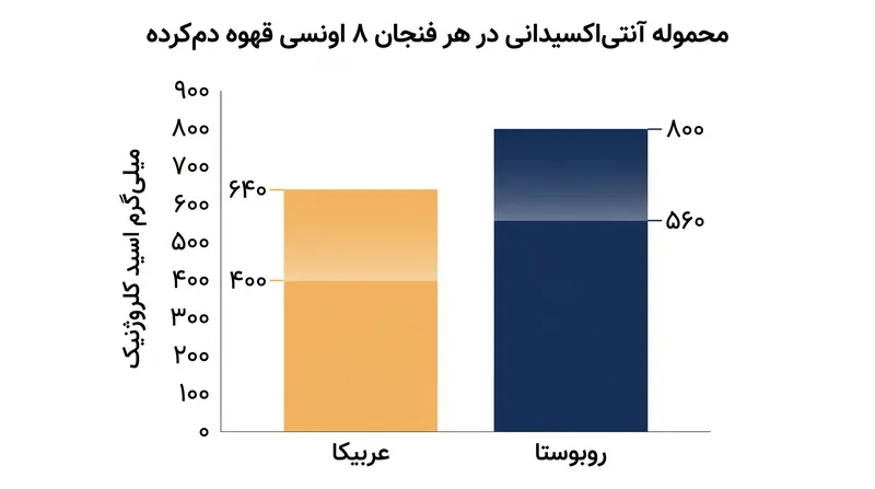 یک فنجان استاندارد روبوستا محموله آنتی‌اکسیدانی بسیار بیشتری نسبت به یک فنجان معادل از عربیکا به بدن می‌رساند.