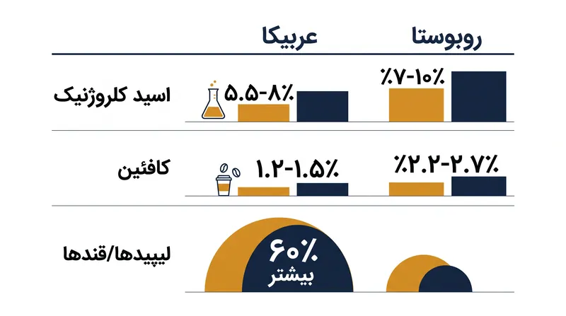 دانه‌های روبوستا حاوی غلظت بسیار بالاتری از ترکیبات دفاعی مانند کافئین و اسید کلروژنیک هستند.