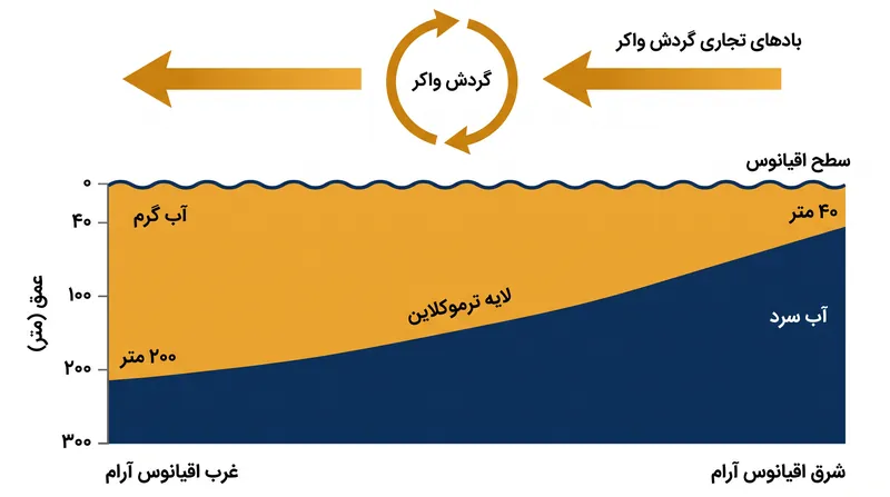 شیب ترموکلاین که توسط بادهای تجاری گردش واکر هدایت می‌شود، آب گرم سطحی را از آب سرد اعماق اقیانوس جدا می‌کند.
