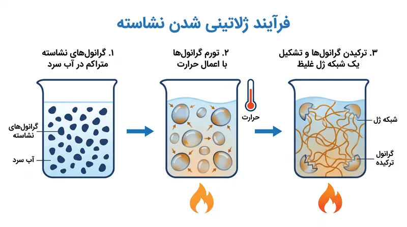 حرارت باعث می‌شود گرانول‌های نشاسته در کدو حلوایی آب را جذب کرده و متورم شوند که به طور طبیعی آب‌گوشت را غلیظ می‌کند.