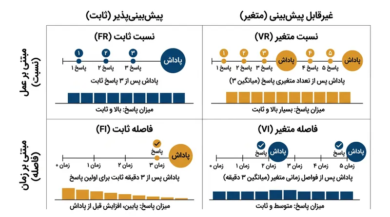 چهار برنامه اصلی تقویت جزئی بر اساس پیش‌بینی‌پذیری و مبنای آن‌ها در زمان در برابر عمل تعریف می‌شوند.