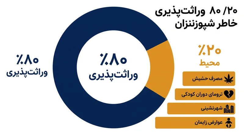 مطالعات دوقلوها نشان می‌دهد که عوامل محیطی تقریباً ۲۰ درصد از واریانس خطر ابتلا به اسکیزوفرنی را تشکیل می‌دهند.