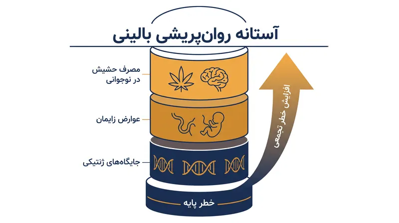 عوامل خطر محیطی تجمعی هستند و آسیب‌پذیری ژنتیکی زمینه‌ای را در طول زمان تشدید می‌کنند.