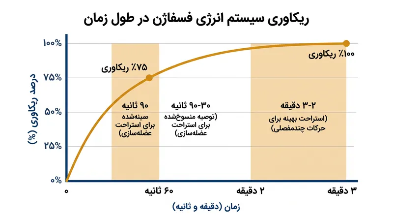 سیستم انرژی فسفاژن برای شارژ مجدد و کامل به حدود سه دقیقه استراحت غیرفعال نیاز دارد.