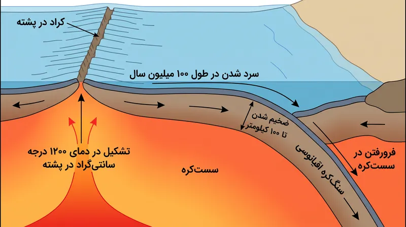 با پیر شدن سنگ‌کره اقیانوسی، این لایه سرد و ضخیم می‌شود و در نهایت به قدری چگال می‌گردد که در گوشته فرو می‌رود.