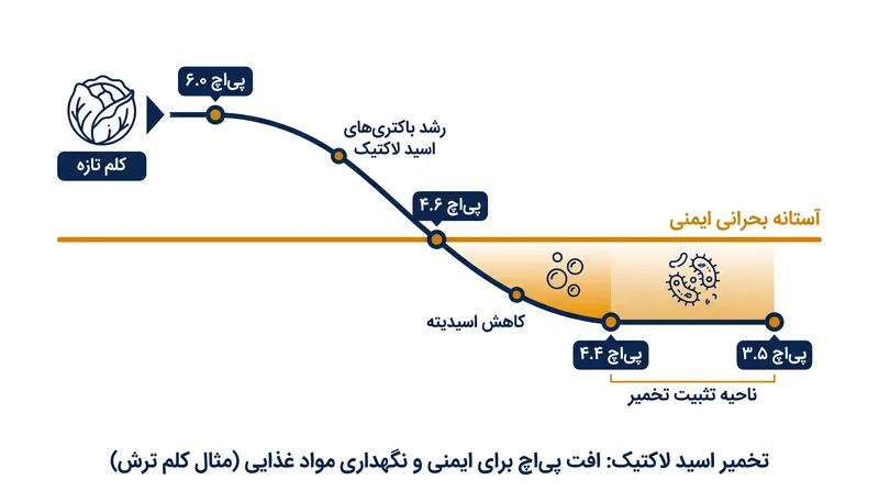 آستانه بحرانی ایمنی برای سبزیجات تخمیرشده، پی‌اچ ۴.۶ است که پایین‌تر از آن، پاتوژن‌های خطرناک قادر به زنده ماندن نیستند.