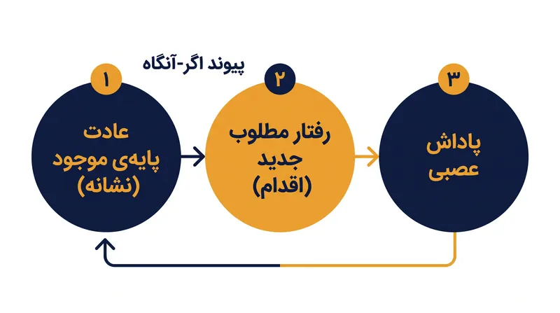 با گره زدن یک اقدام جدید به یک نشانه‌ی از پیش موجود، مغز قشر پیش‌پیشانی را دور زده و به مسیرهای خودکار عقده‌های قاعده‌ای تکیه می‌کند.