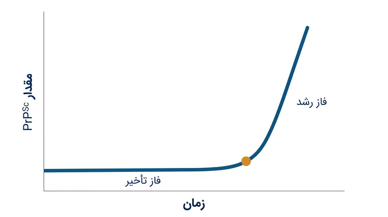 تجمع پریون از یک منحنی سینتیک متمایز پیروی می‌کند که با یک فاز تأخیر اولیه و کند، پیش از رشد تصاعدیِ الگوبرداری‌شده مشخص می‌شود.