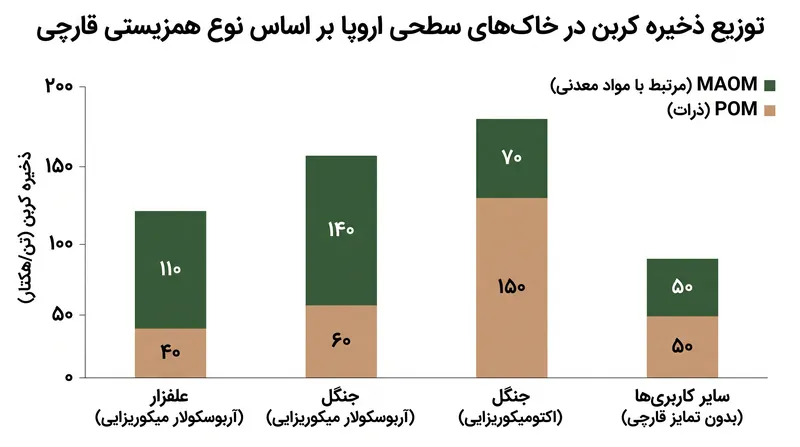 اکوسیستم‌های مختلف برای ذخیره کربن به سازوکارهای متفاوتی متکی هستند که به شدت تحت تأثیر شبکه‌های قارچی و در دسترس بودن نیتروژن آن‌ها قرار دارد.