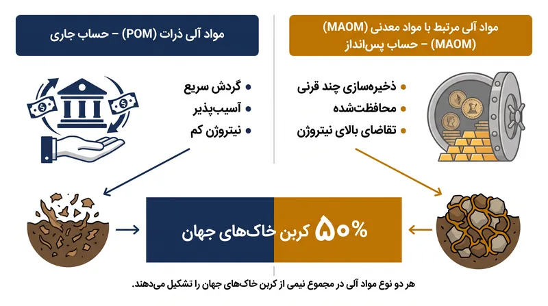 دو مخزن اصلی کربن خاک در مقیاس‌های زمانی و محدودیت‌های فیزیکی بسیار متفاوتی عمل می‌کنند.