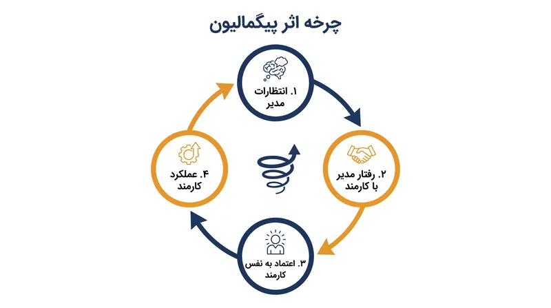 اثر پیگمالیون به عنوان یک چرخه بازخورد پیوسته عمل می‌کند که در آن انتظارات، رفتارها و نتایج را دیکته می‌کنند.