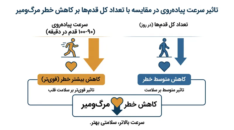 چگونه سرعت گام برداشتن و تعداد کل قدم‌ها به‌طور مستقل به کاهش خطر مرگ‌ومیر کمک می‌کنند.