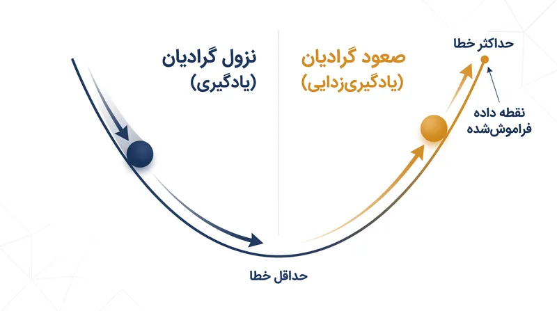 صعود گرادیان با به حداکثر رساندن عمدی نرخ خطای مدل برای داده‌های هدف، فرآیند یادگیری را معکوس می‌کند.