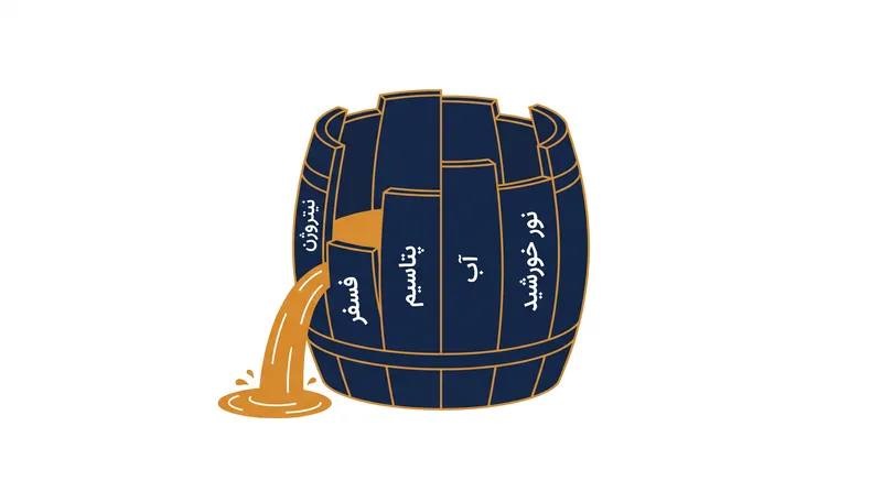 بشکه لیبیگ نشان می‌دهد که چگونه کوتاه‌ترین تخته (ماده مغذی محدودکننده) حداکثر ظرفیت رشد را تعیین می‌کند.