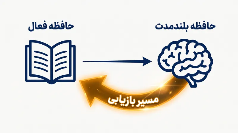 عمل بازیابی اطلاعات از حافظه بلندمدت، مسیرهای عصبی را به طور فیزیکی تقویت کرده و یادآوری در آینده را آسان‌تر می‌کند.