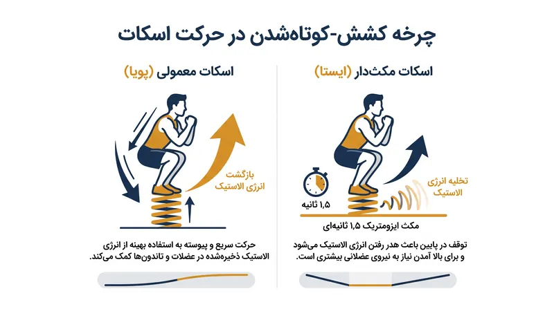 توقف ۱.۵ ثانیه‌ای، انرژی الاستیک ذخیره‌شده در تاندون‌ها را تخلیه کرده و عضلات را مجبور می‌کند تا از نقطه صفر تولید نیرو کنند.