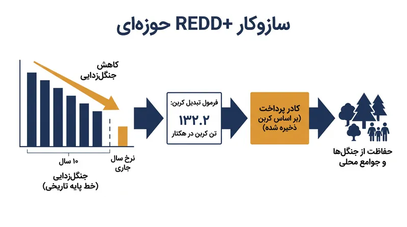چگونه صندوق آمازون سقف مالی خود را بر اساس خطوط پایه تاریخی جنگل‌زدایی محاسبه می‌کند.