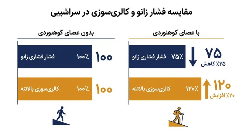 هزینه-فایده مکانیکی: محافظت از مفاصل به قیمت افزایش نیاز قلبی-عروقی تمام می‌شود.