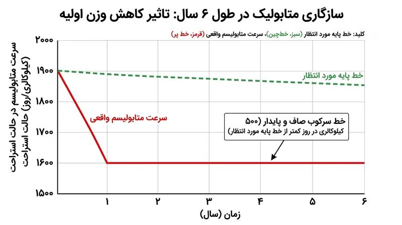 داده‌های بالینی نشان می‌دهد که سرکوب متابولیک می‌تواند سال‌ها پس از کاهش وزن اولیه ادامه یابد و بدن کالری کمتری نسبت به حد انتظار بسوزاند.