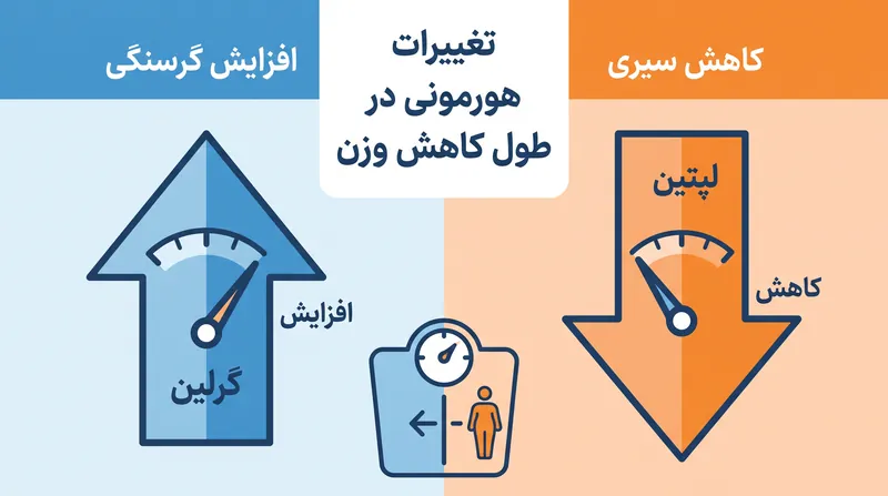 با کاهش ذخایر چربی، بدن هورمون‌های سیری را کاهش و هورمون‌های گرسنگی را افزایش می‌دهد تا میل به مصرف کالری را بالا ببرد.