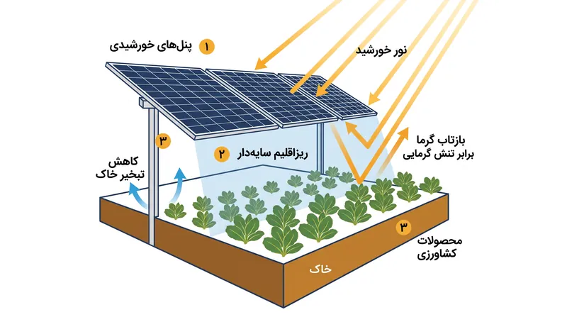 چگونه پنل‌های خورشیدی مرتفع با کاهش تبخیر و محافظت از محصولات در برابر گرمای شدید، هیدرولوژی مزرعه را تغییر می‌دهند.