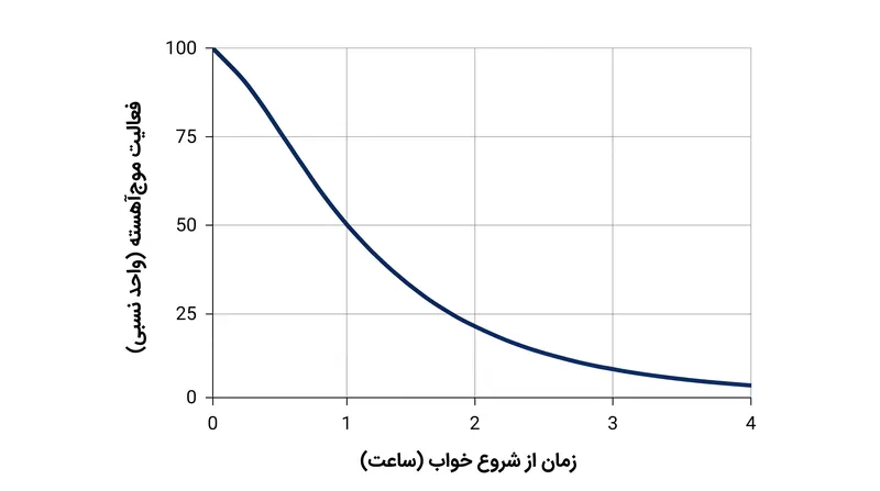 فشار هموستاتیک خواب در ساعات اولیه خوابِ موج‌آهسته، با بیشترین سرعت کاهش می‌یابد.