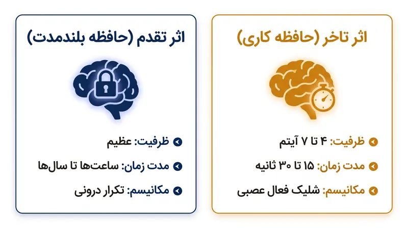 محدودیت‌های بیولوژیکی که ذخیره‌سازی بلندمدت را از بافر حافظه کاری جدا می‌کنند.