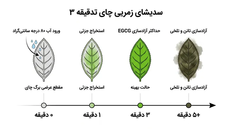 پس از سه دقیقه در دمای ۸۰ درجه، استخراج EGCG متوقف می‌شود و دم کشیدن طولانی‌تر فقط ترکیبات سنگین‌تر و گس را بیرون می‌کشد.