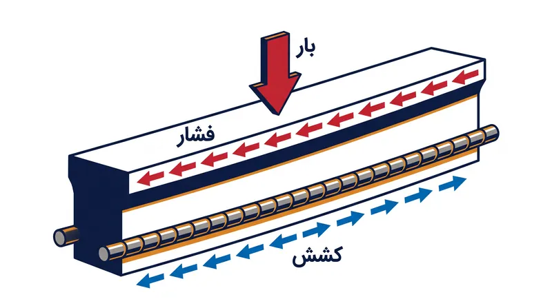 هنگامی که یک دال بتنی خم می‌شود، قسمت بالایی فشرده شده در حالی که قسمت پایینی کشیده می‌شود و بار کششی را مستقیماً به فولاد مدفون در آن منتقل می‌کند.