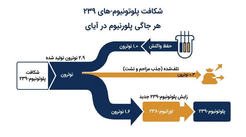 در یک طیف سریع، بازده بالای نوترونِ پلوتونیوم-۲۳۹ حاشیه لازم را برای حفظ واکنش زنجیره‌ای در حین زایش سوخت مازاد فراهم می‌کند.