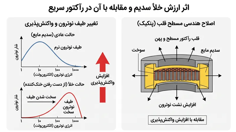 مهندسان باید عمداً نشت نوترون را افزایش دهند تا ارزش خلأ سدیم منفی را حفظ کنند، که این امر مستقیماً اقتصاد نوترونی رآکتور را جریمه می‌کند.