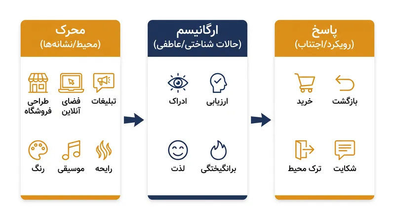 سه رکن اصلی چارچوب محرک-ارگانیسم-پاسخ.