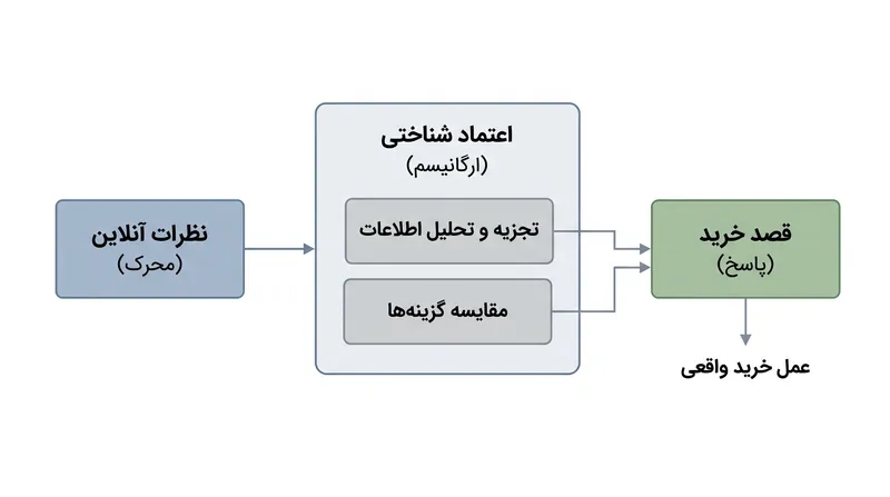 در محیط‌های دیجیتال، محرک‌های اطلاعاتی مانند نظرات کاربران باید پیش از تحریک پاسخ خرید، اعتماد شناختی ایجاد کنند.