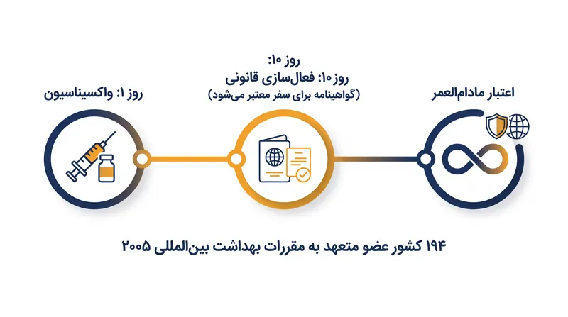 بر اساس ضمیمه ۷، کاربرد قانونی واکسن با یک تاخیر ۱۰ روزه همراه است تا آنتی‌بادی‌ها در بدن تولید شوند و پس از آن برای تمام عمر معتبر خواهد بود.