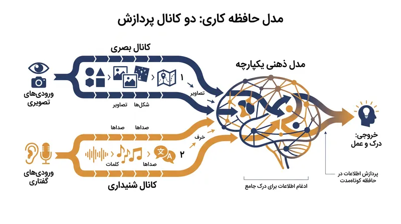 نظریه رمزگذاری دوگانه آلن پایویو نشان می‌دهد که مغز چگونه چندرسانه‌ای‌ها را از طریق دو مسیر مجزا پردازش می‌کند.