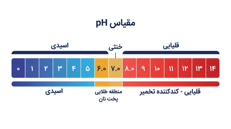 مخمرها و آنزیم‌های آرد در یک محیط کمی اسیدی تا خنثی بهترین عملکرد را از خود نشان می‌دهند.